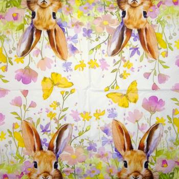 105 Hasen: natürlich - 3-lagig